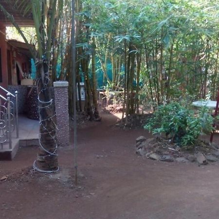 آليباغ Samartha Cottage, Varsoli المظهر الخارجي الصورة