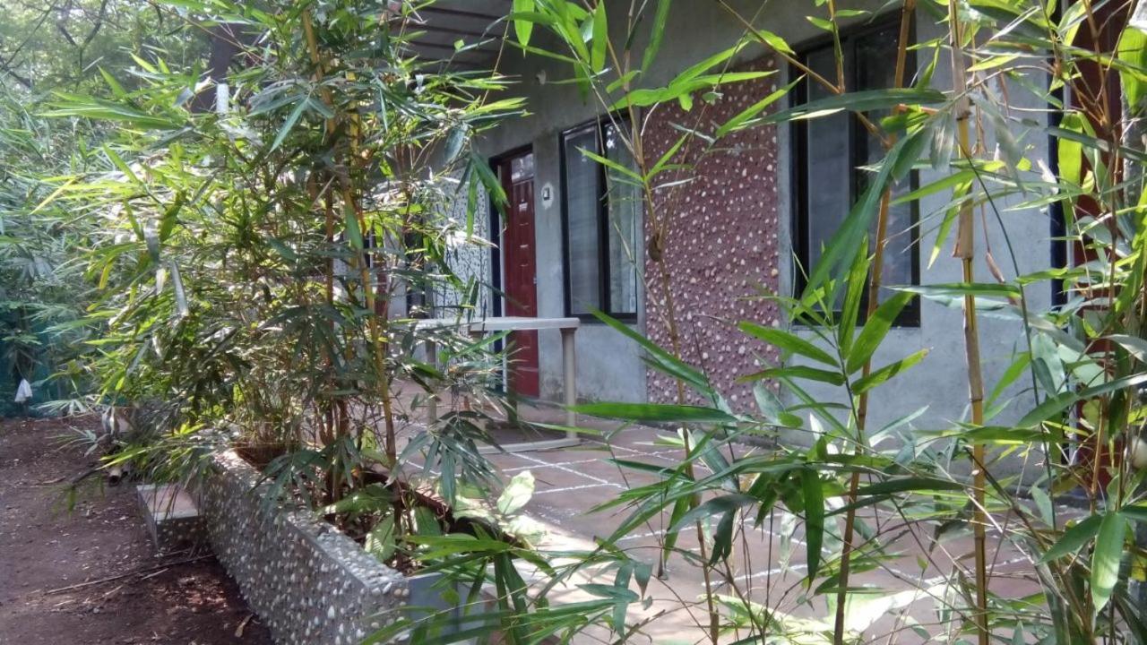 آليباغ Samartha Cottage, Varsoli المظهر الخارجي الصورة